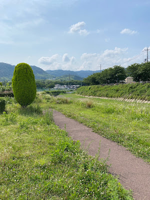 Todaiji Park 사진 3