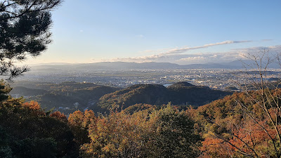 아마가세 삼림 공원 사진 4