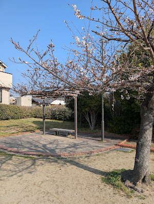 가이데카시노키 공원 사진 2