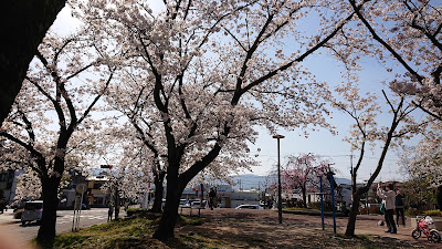 Toin Park 사진 2