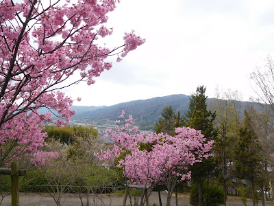 Katsurazaka Park 사진 4