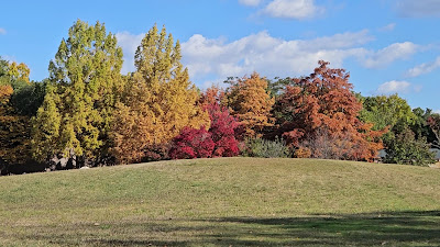 Katsurazaka Park 사진 2