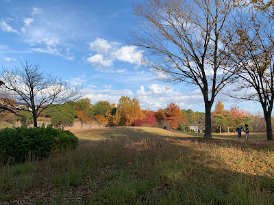 Katsurazaka Park 사진 5