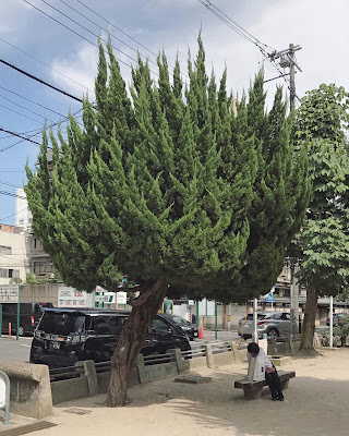 세이쇼 아동공원 사진 5