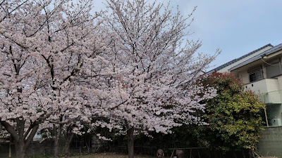 오기정 공원 사진 2