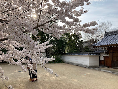오기정 공원 사진 4