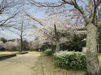 이마미야 아동공원