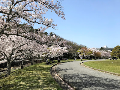 North Garden