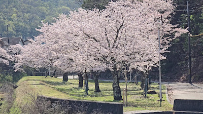 North Garden 사진 2