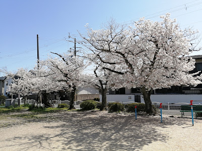 Fujinoki Park 사진 2
