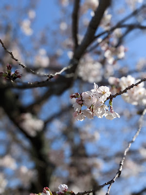 Fujinoki Park 사진 3