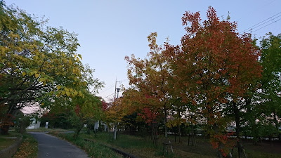 Minasegawa Ryokuchi Park 사진 4