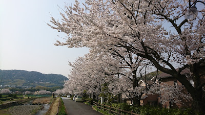 Minasegawa Ryokuchi Park 사진 3