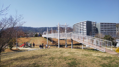 Minasegawa Ryokuchi Park 사진 5