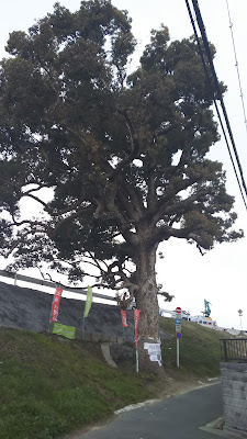 Shirie Park