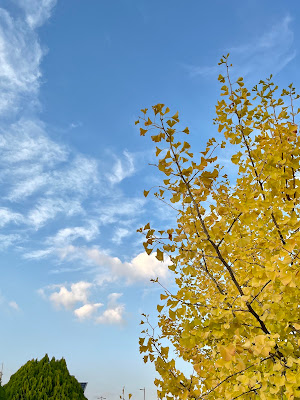 Yamabikojido Park 사진 5