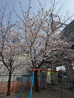 Chayamae Park 사진 2