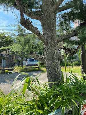 Towaen Park 사진 3