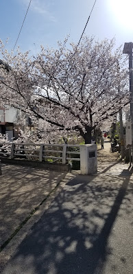 오이노키 아동공원 사진 3