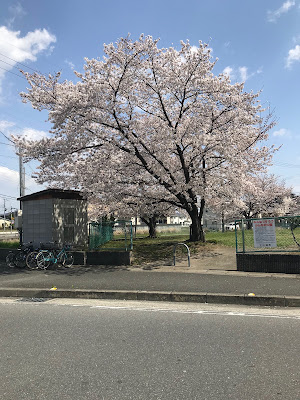 Gojohon Park 사진 2