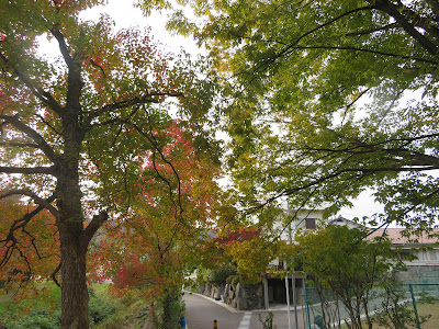 Chokei Park 사진 2