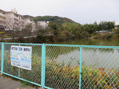 Nakanoike Park 사진 4