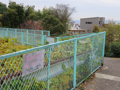Nakanoike Park 사진 2