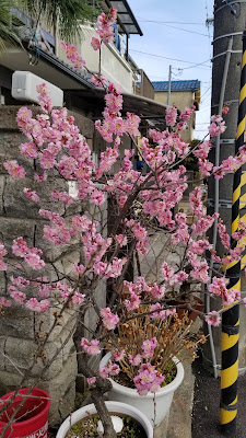 요도시모즈 아동공원 사진 5