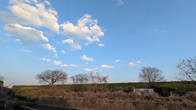 시모츠 아동공원 사진 4
