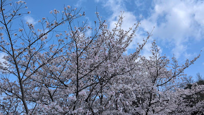 오바쿠 공원 사진 2