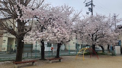 Chukaida Park