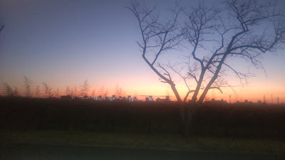 Oshima Park 사진 2