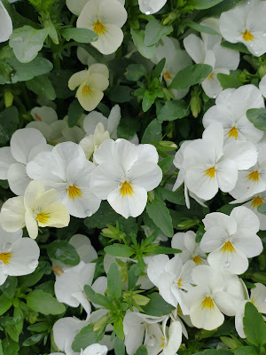 Hiraodai Daiyon Children Park 사진 2