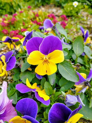 Hiraodai Daiyon Children Park