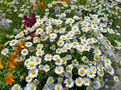 Hiraodai Daiyon Children Park 사진 3