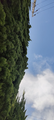 기타코지 공원 사진 4