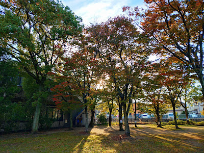 Himawari Park 사진 2