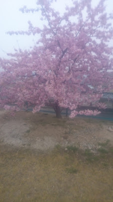 오마키 공원 사진 4