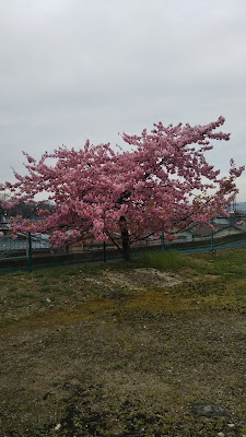 오마키 공원