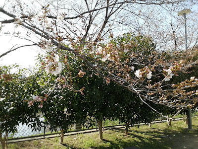 난조 공원 사진 3
