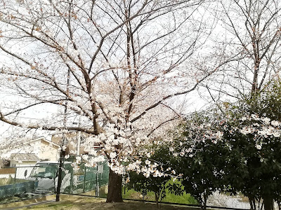 난조 공원 사진 4