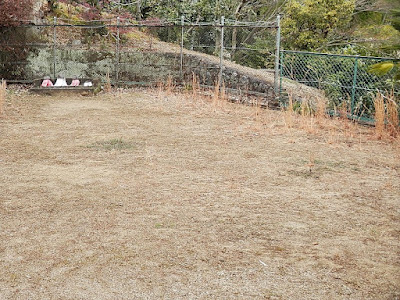 Inuikakiuchi Park 사진 4