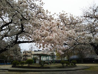 후카쿠사 동공원