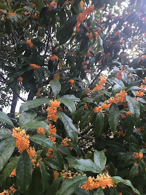 나카쿠 어린이공원 사진 5