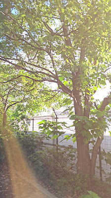 호코다테 공원 사진 2