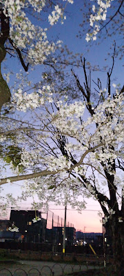 아케다 아동공원 사진 4