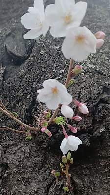 아케다 아동공원 사진 2