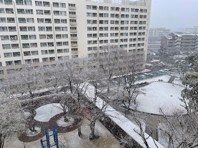 마쓰노키 아동공원