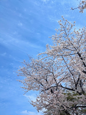 카잔이나리 공원 사진 3