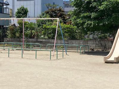 고쇼노우치 아동공원 사진 5